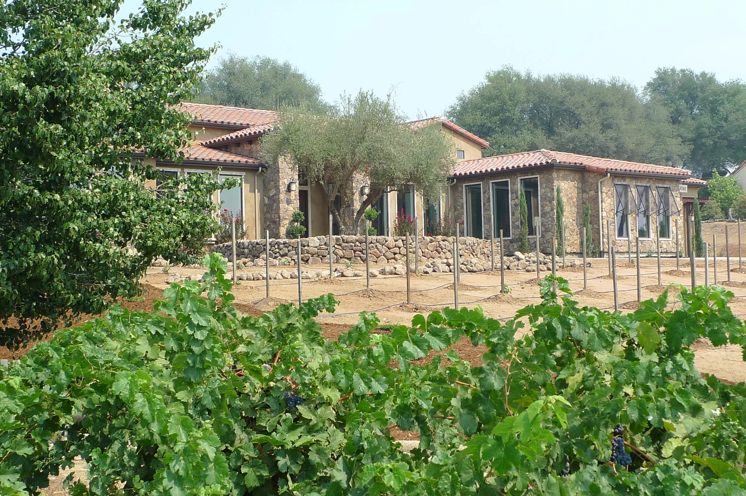 P1100155.JPG