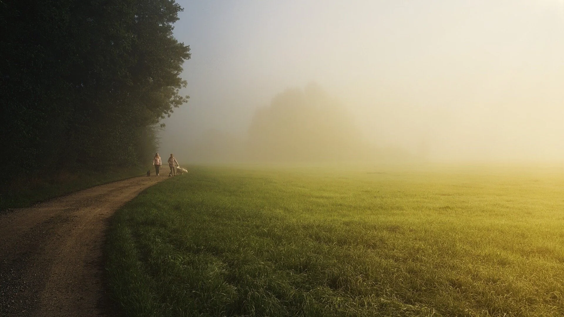 A Prairie of Solitude