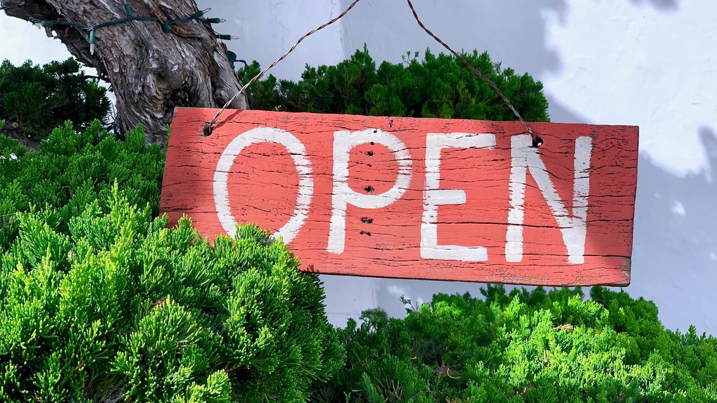 Reopening Update: Small Groups & Worship