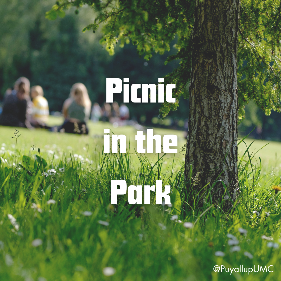 Picnic in the Park