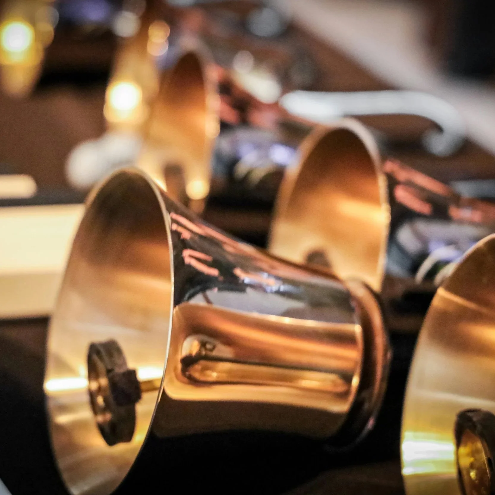 Rainier Ringers Handbell Concert