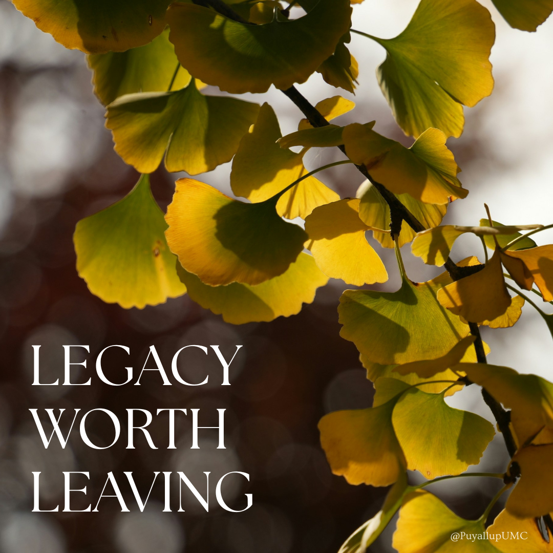 Financial Legacy: Wills and Trusts