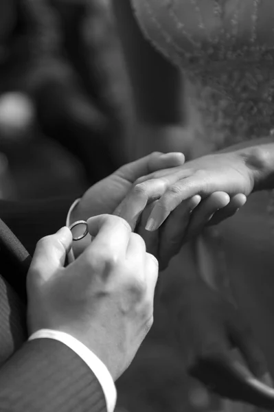 _DSC0844_BW_web150.jpg