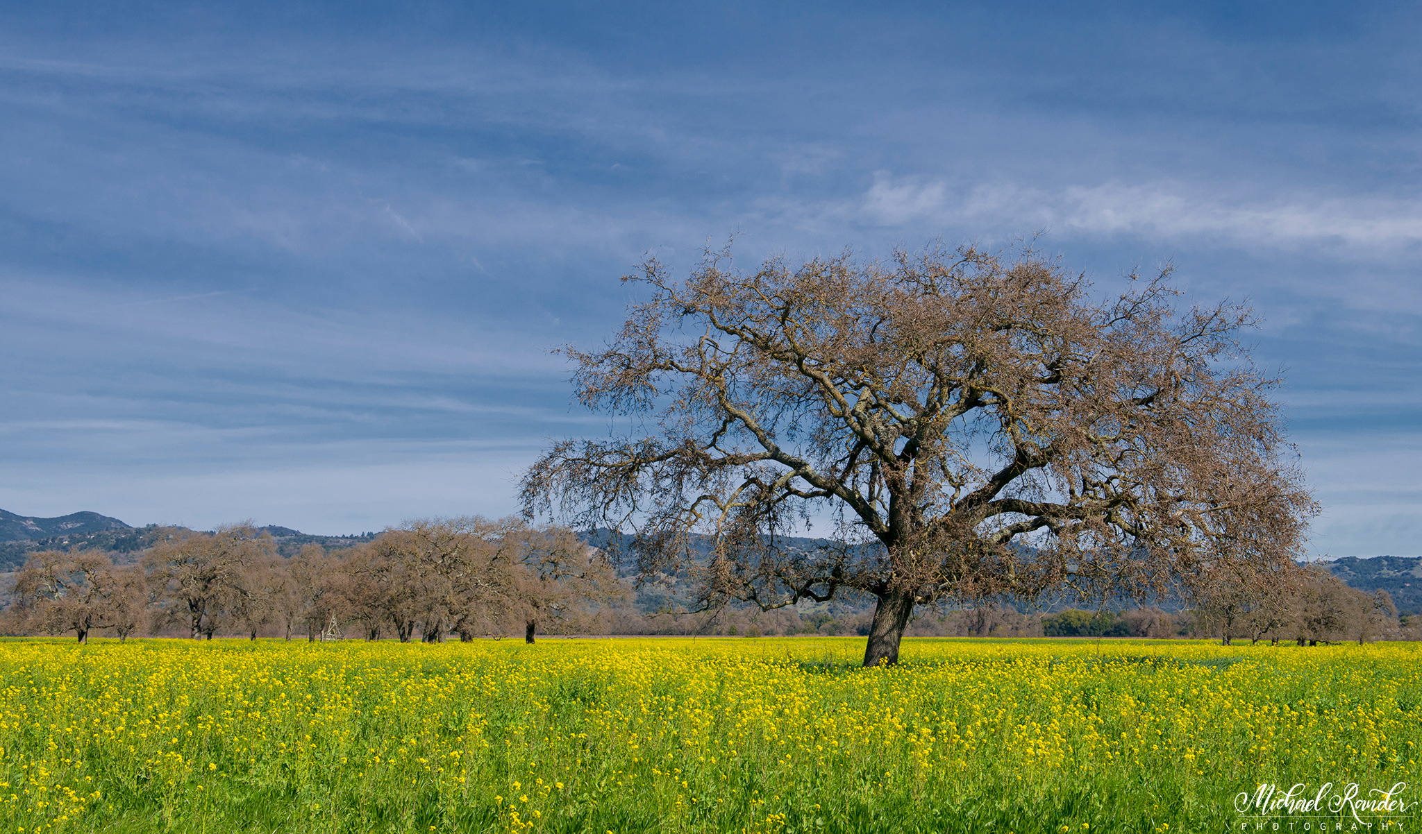 "Entering wine country" - Napa, California