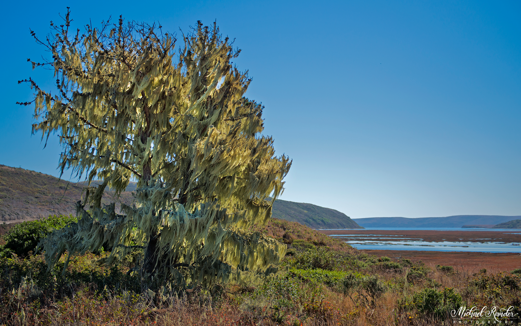 "Point Reyes" - California