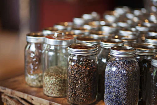 Join me for tea and a discussion and demonstration about the way herbs can support our Bod Fantastic. We will taste and discuss spring herbs that are good for cleansing and jumpstarting your system to support optimal health and wellness! Bring a mason jar if possible to take home a sample tincture!