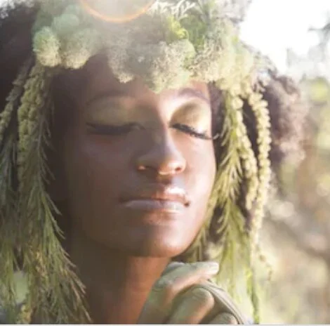 Herbal Wellness Consultation ($60)