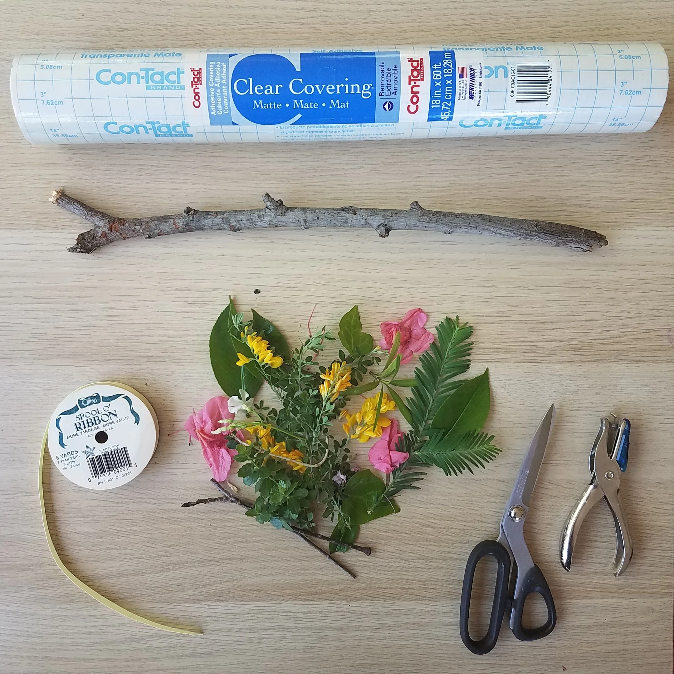 20190508_141434.jpg