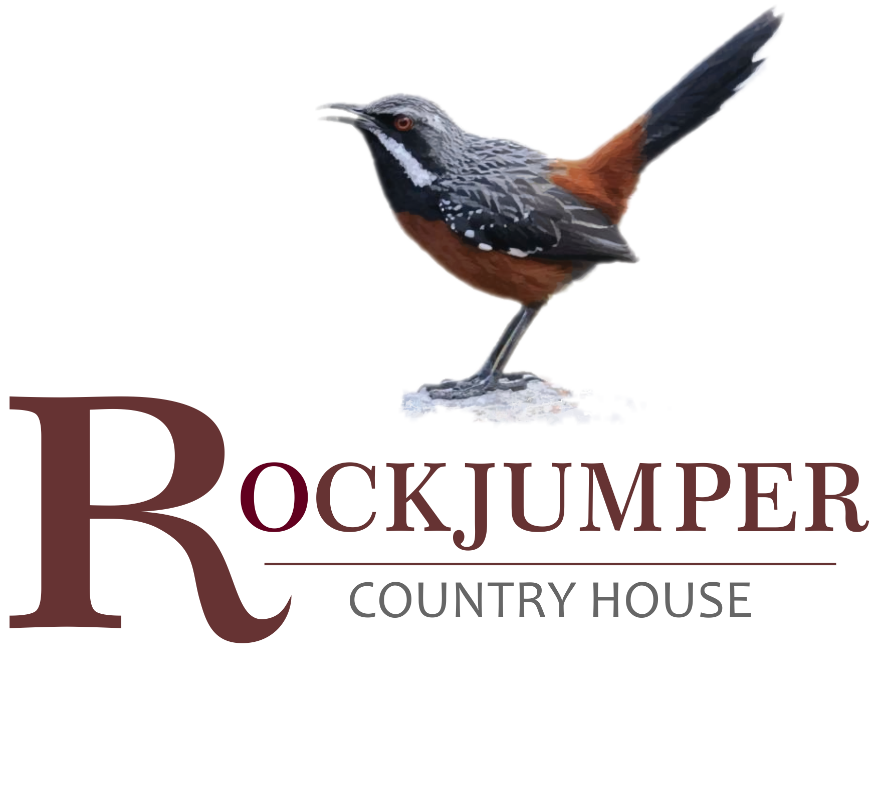 rockjumper home page banner v2.png