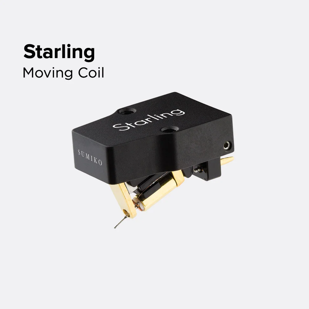 starling.jpg