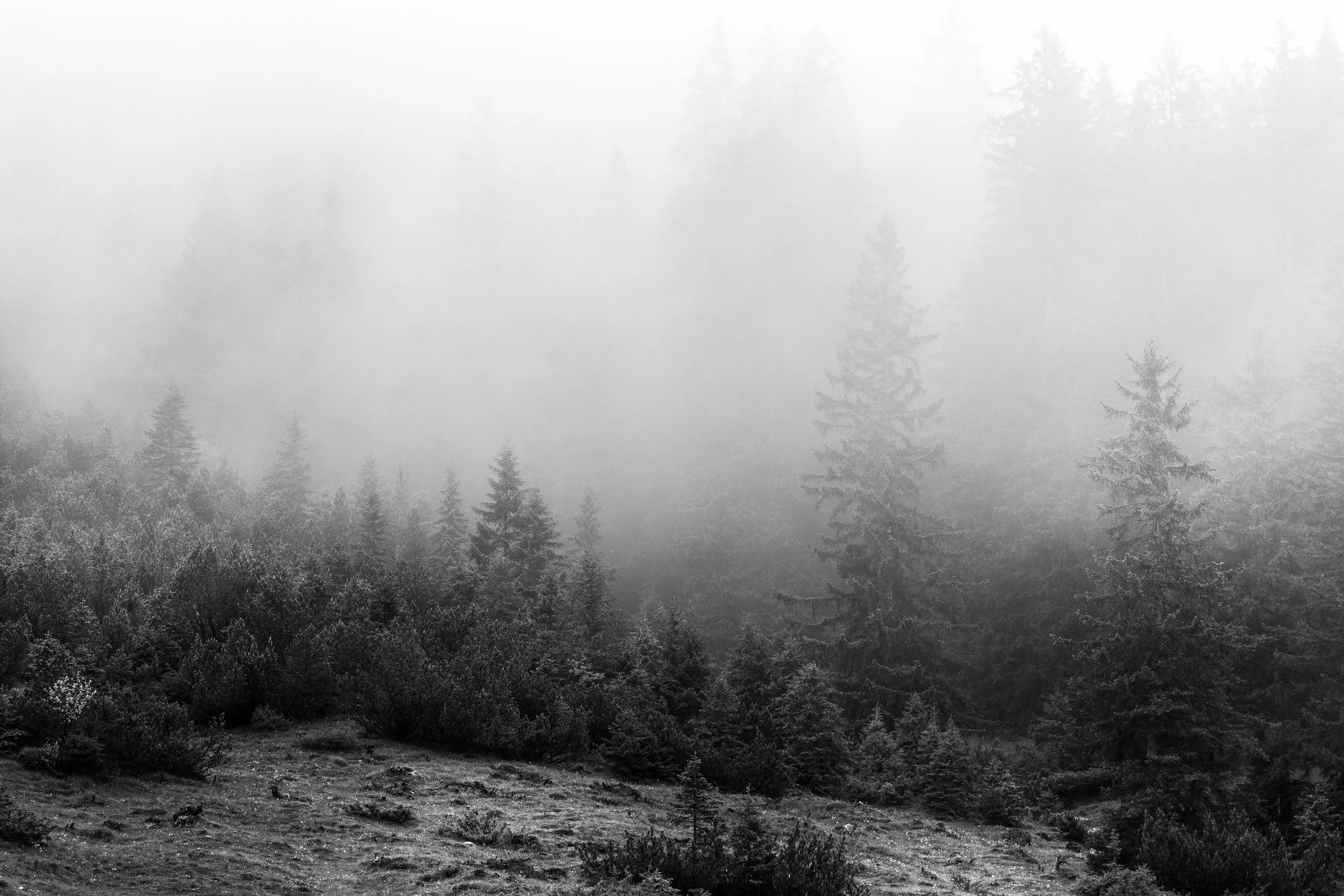 Geisterwald