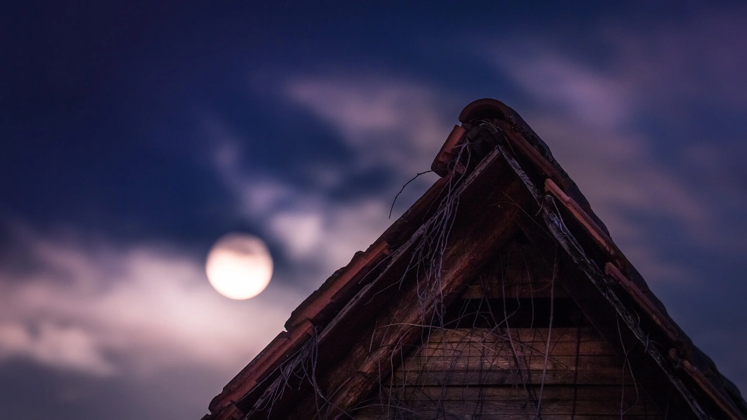 Schuppen bei Nacht