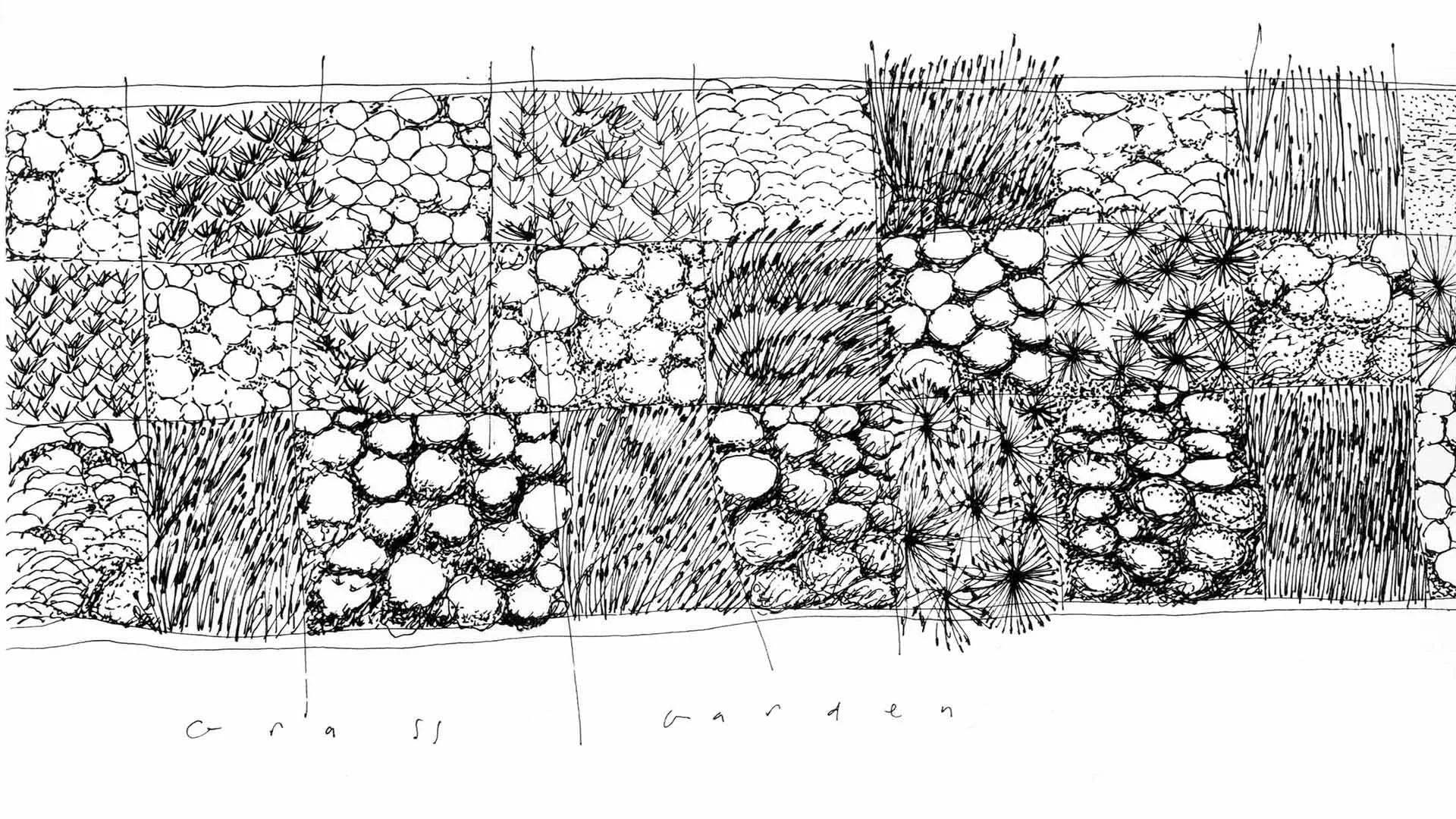 sketch2.jpg