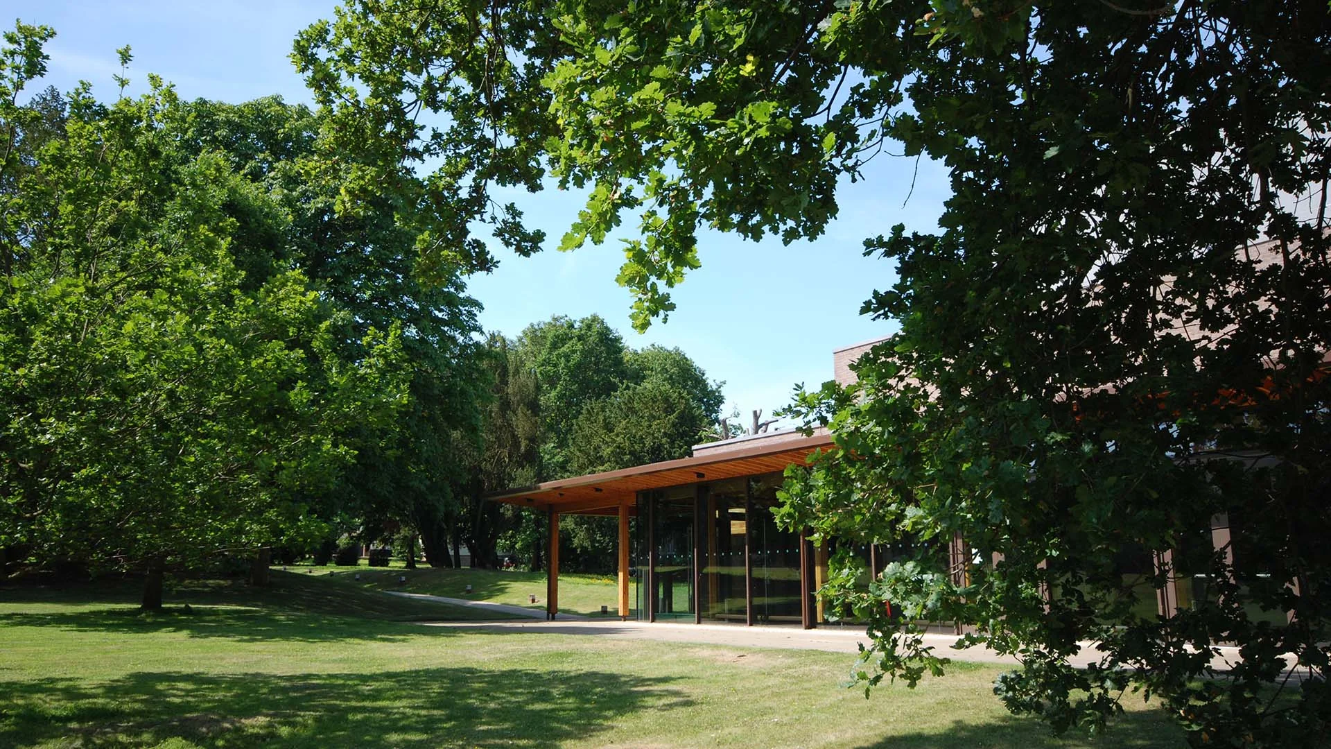 pic1.jpg