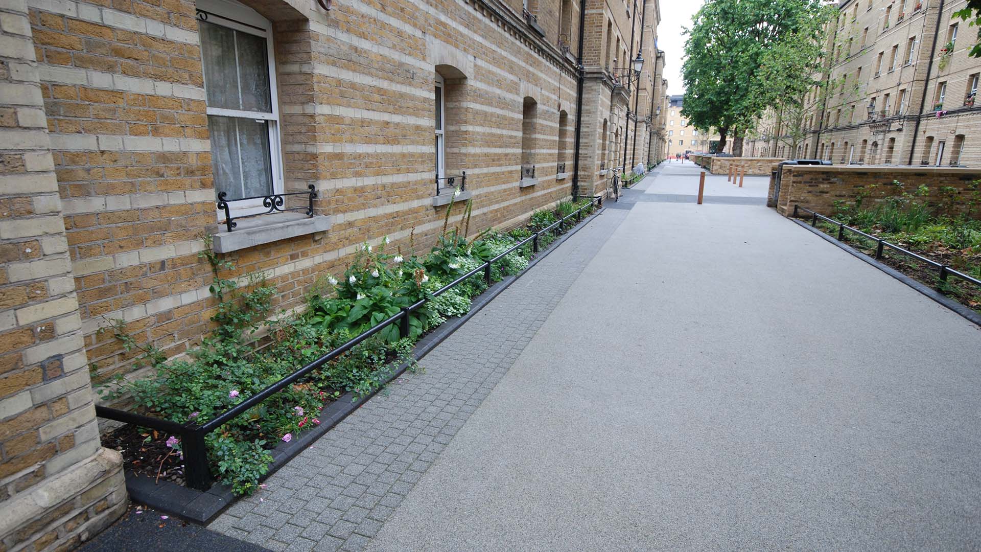 pic5.jpg