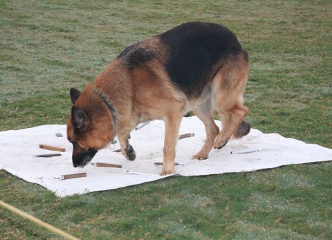 827 Tuffy-res.jpg