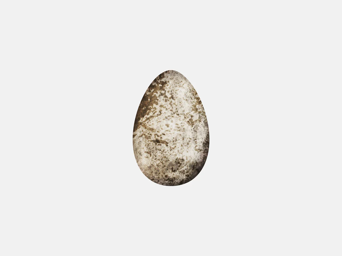 EggHouseSparrow_2.jpg