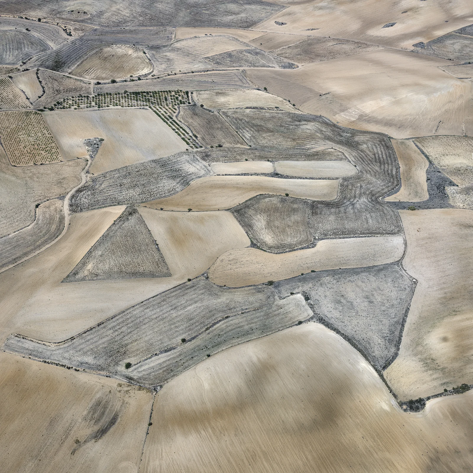 Farmland #1