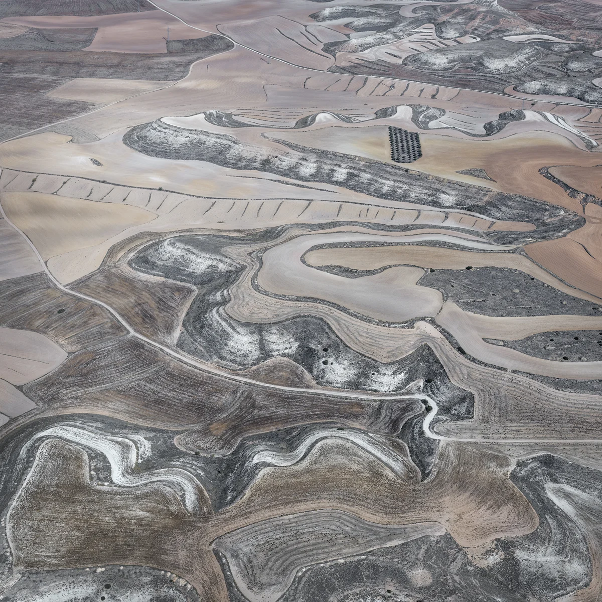 Farmland #2