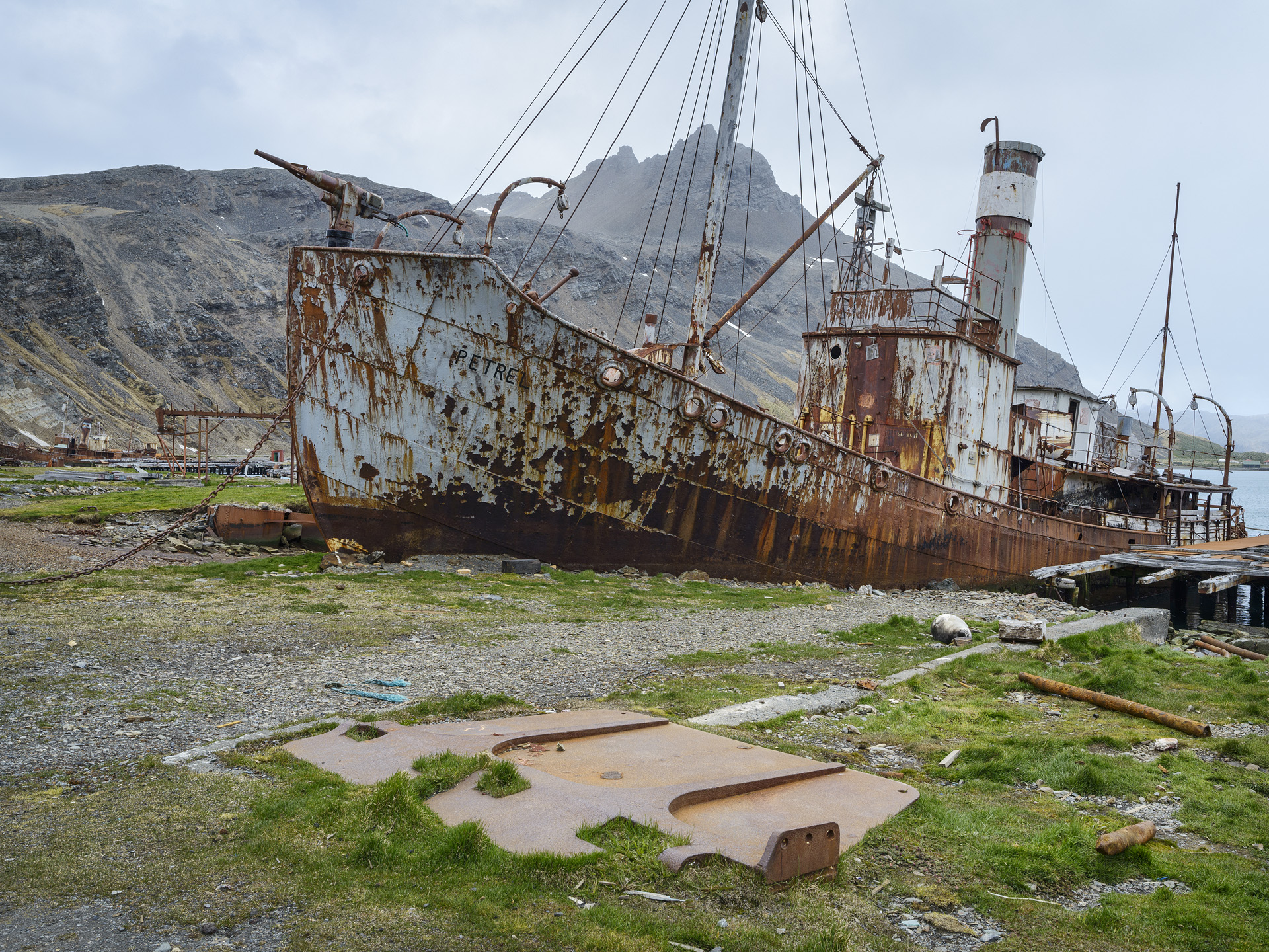 Old Whaler, Grytviken, South Georgia, Antarctica 2016