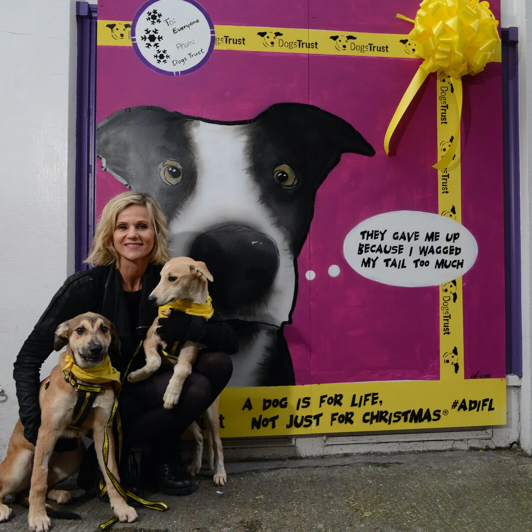 DogsTrust copy.jpg