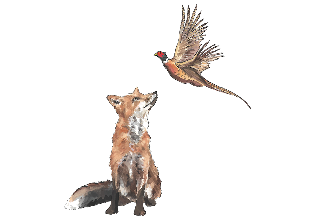 Photo of The Fox and Pheasant, Kensington and Chelsea