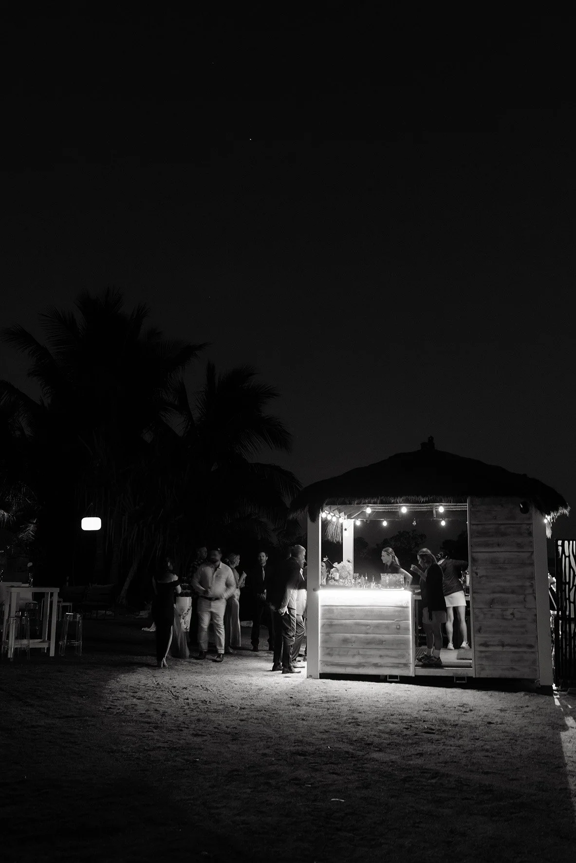 CVM_8585 copy 2.jpg