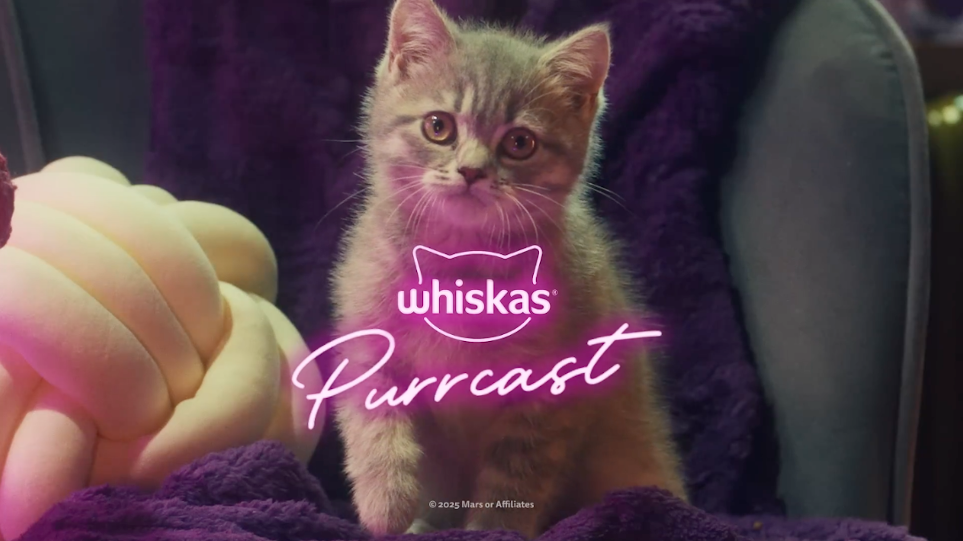 "Why Do Cats Purr?" | WHISKAS Purrcast