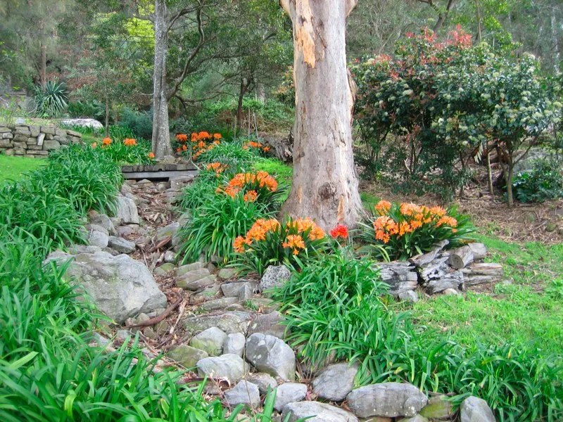 garden_goodriverbed.jpg