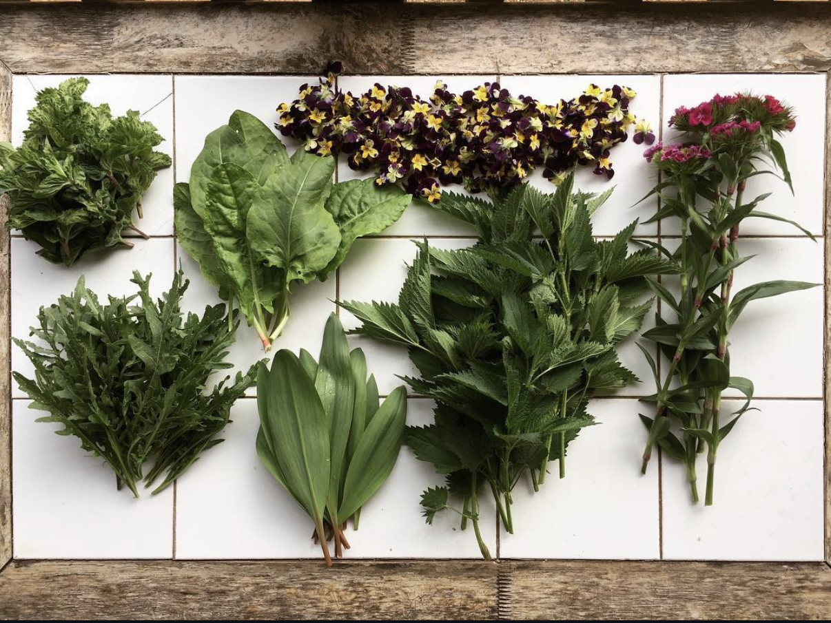 Eating with the Season: Spring Detox, Bitter Greens, the Liver, and Our Digestion