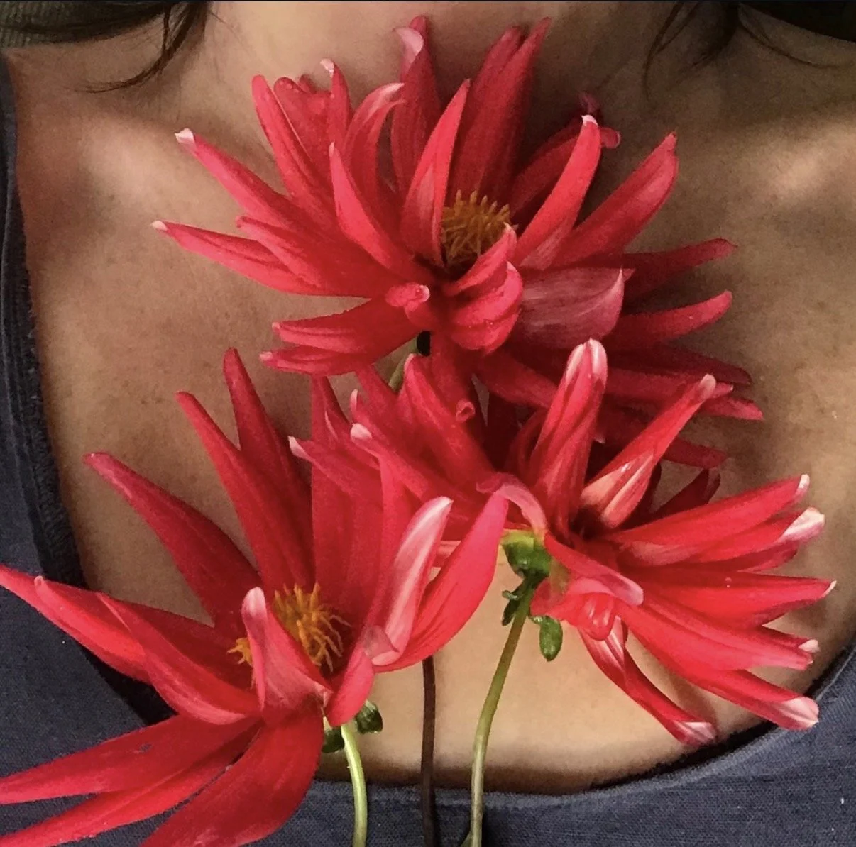 Finding (Hormonal) Balance: How Chinese Medicine Can Help with PMDD