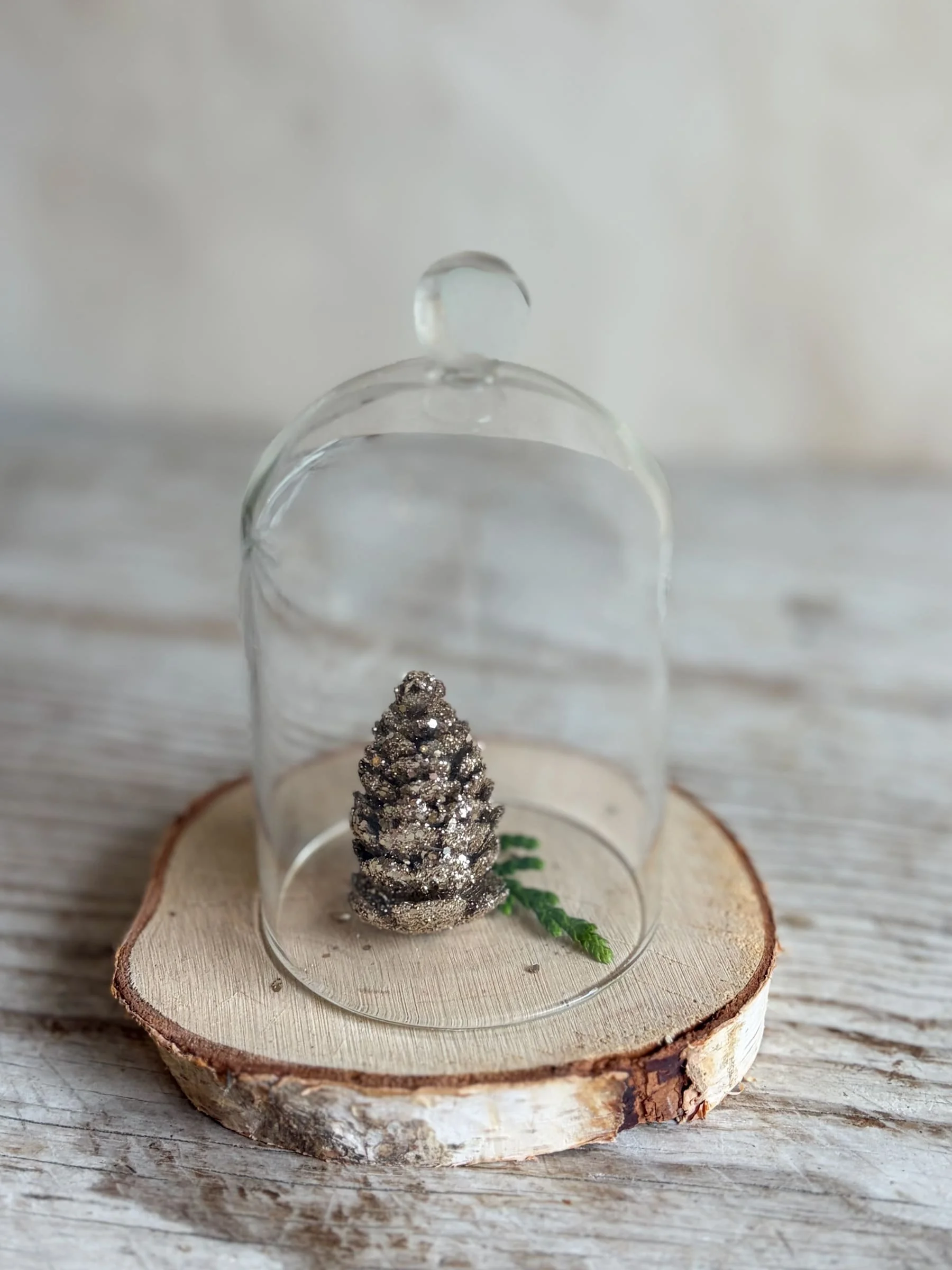 vintage-glass-garden-cloche (2).jpg