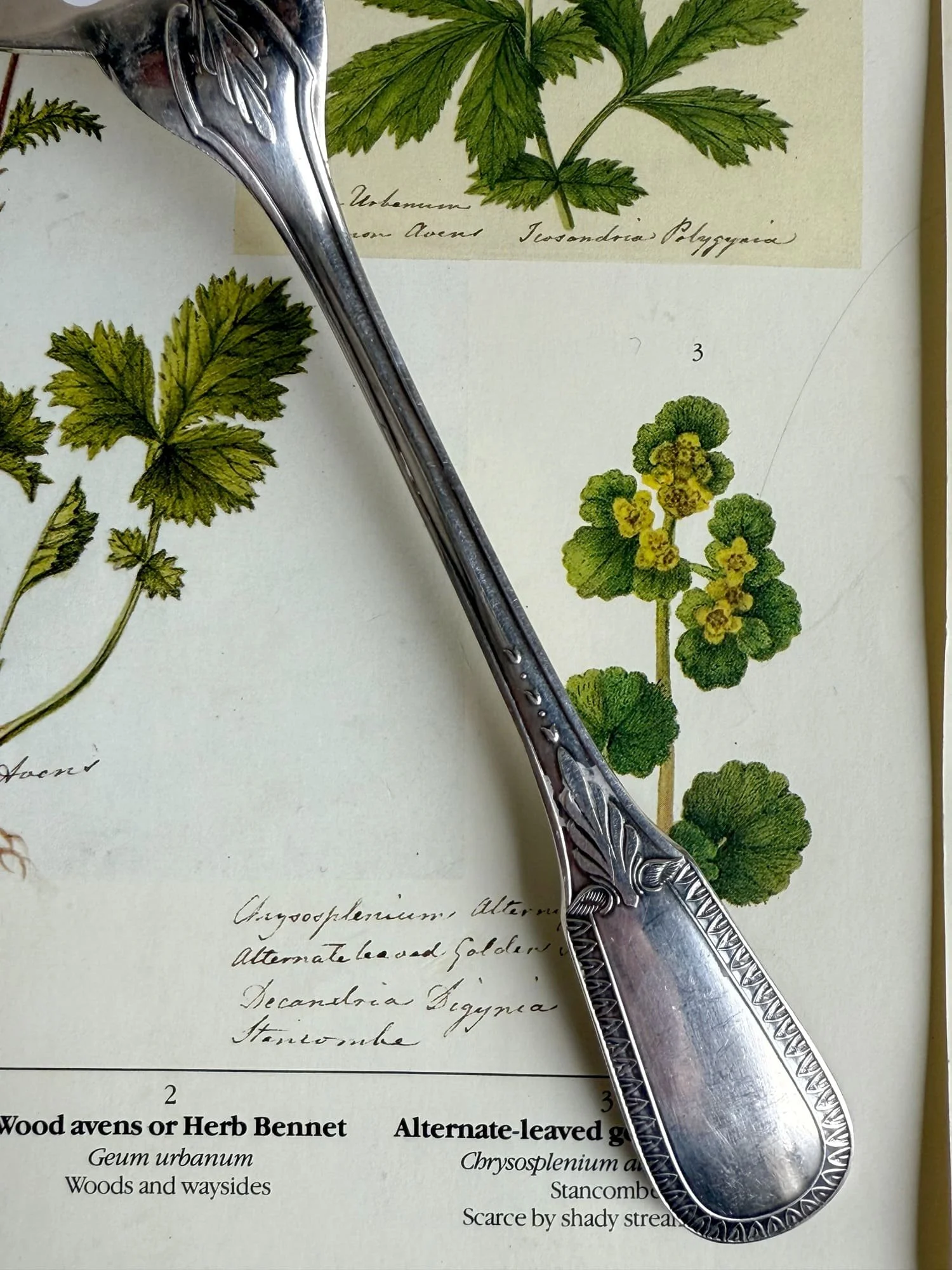 vintage-french-silver-serving-fork-ercuis-fork (1).jpg