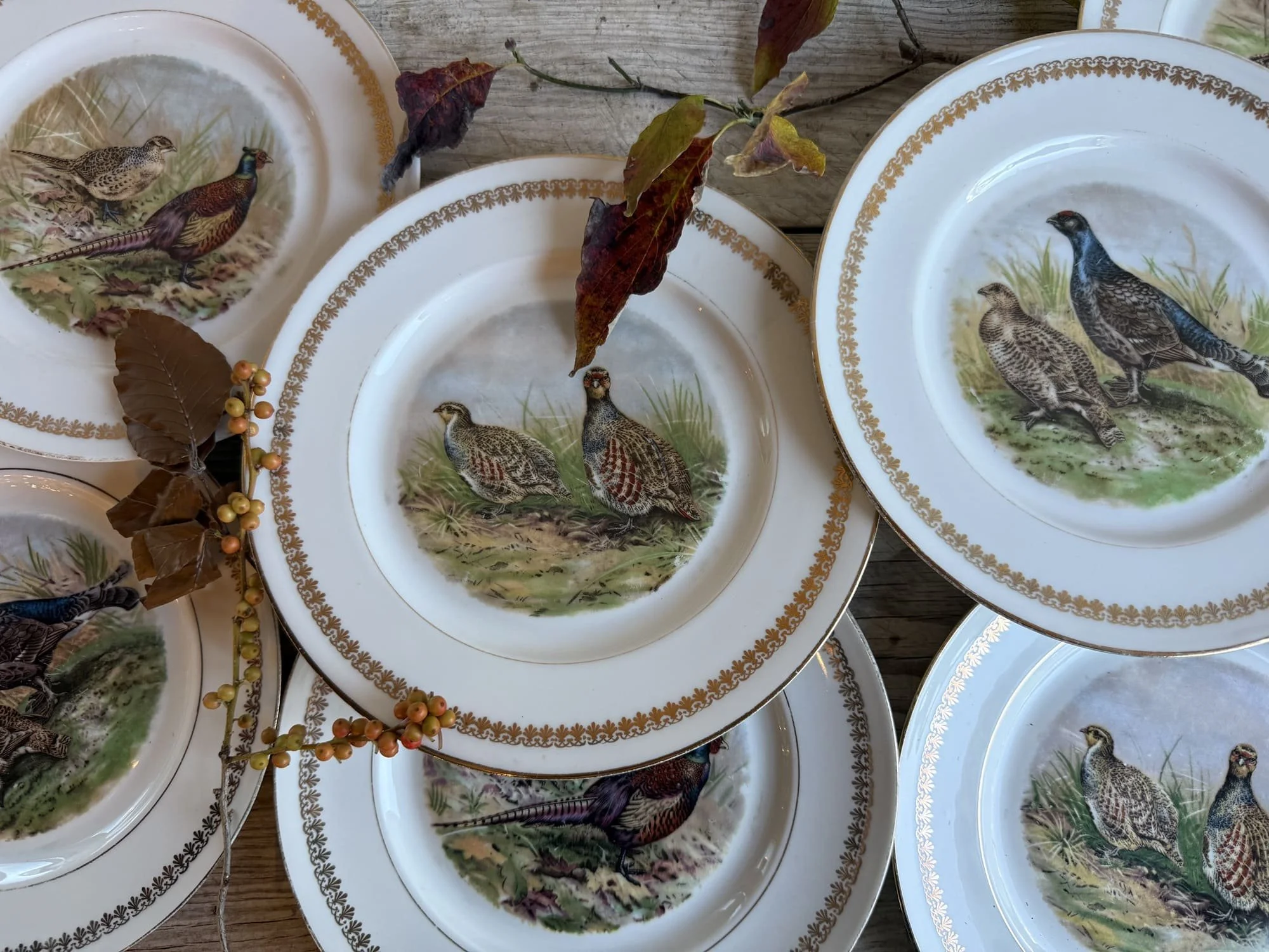 French Porcelain Pheasant Plates