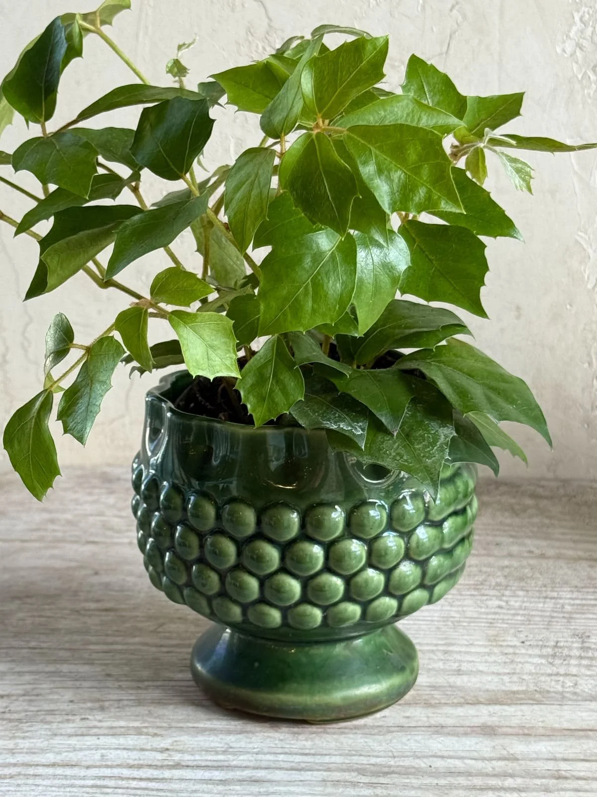 vintage-green-glaze-stoneware-hobnail-pedestal-jardiniere-planter.jpg