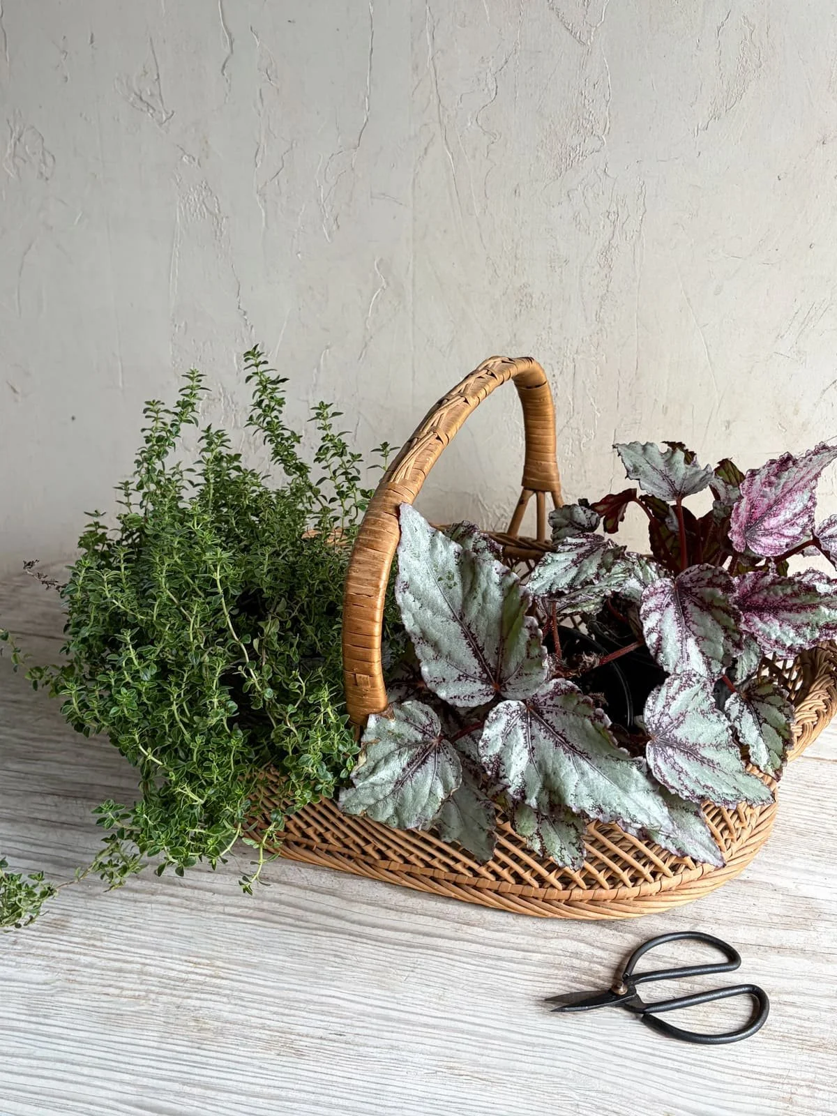 vintage-lattice-rattan-wicker-braided-basket (7).jpg