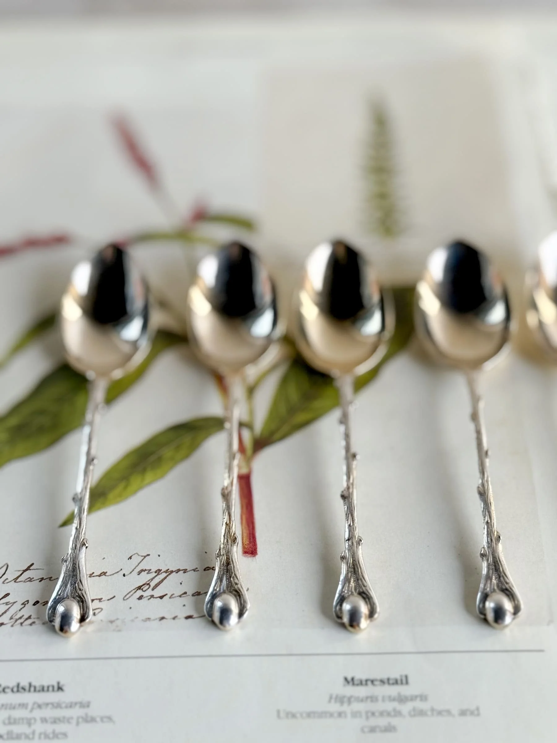 vintage-french-silver-moka-deitasse-cafe-coffee-bean-spoons (4).jpg