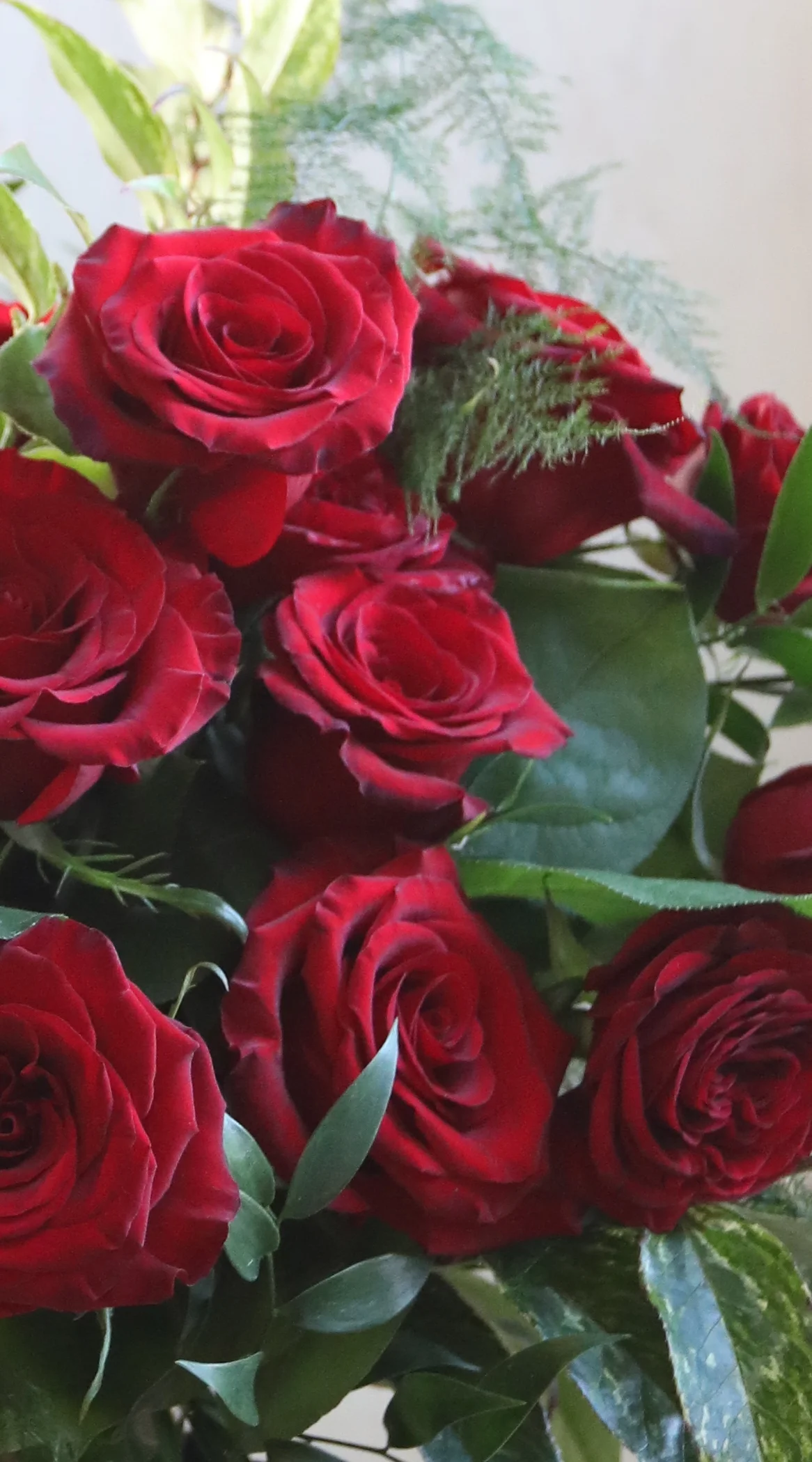 valentines day red roses bouquet dozen roses flower delivery les fleurs andover ma