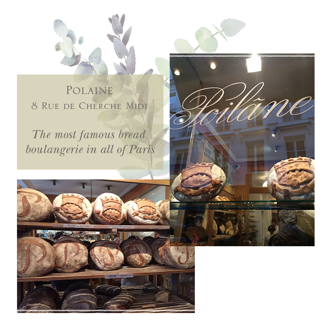 bread-polaine-blog.png