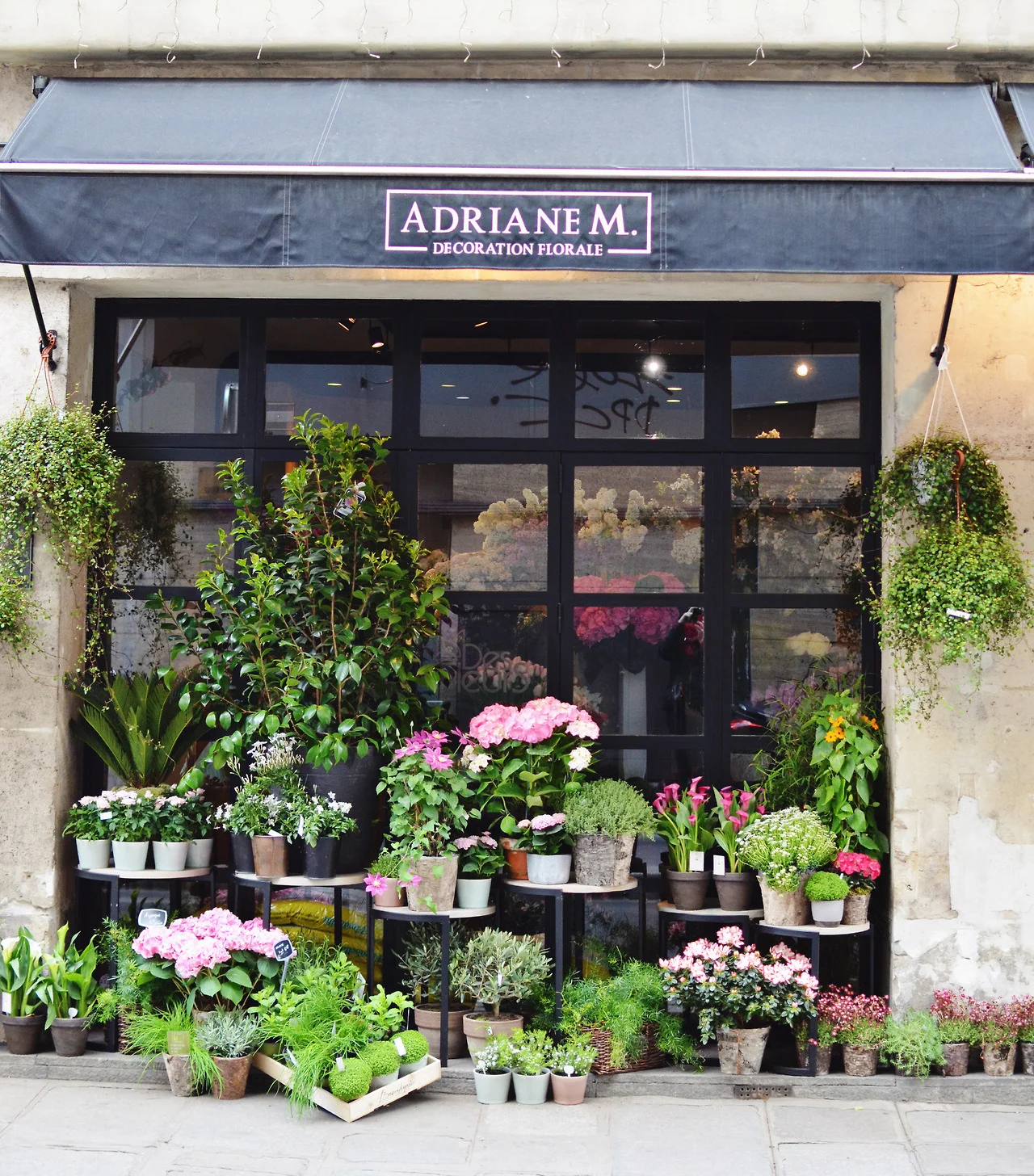 When in Paris... — Andover Florist | Floral Home Garden ...
