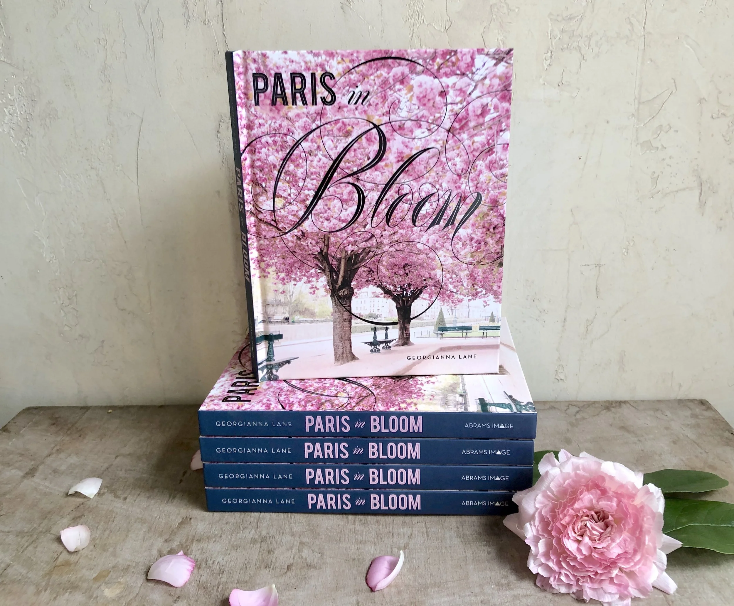 Paris in Bloom Book About Parisian Flowers, Gardens and Flower Markets
