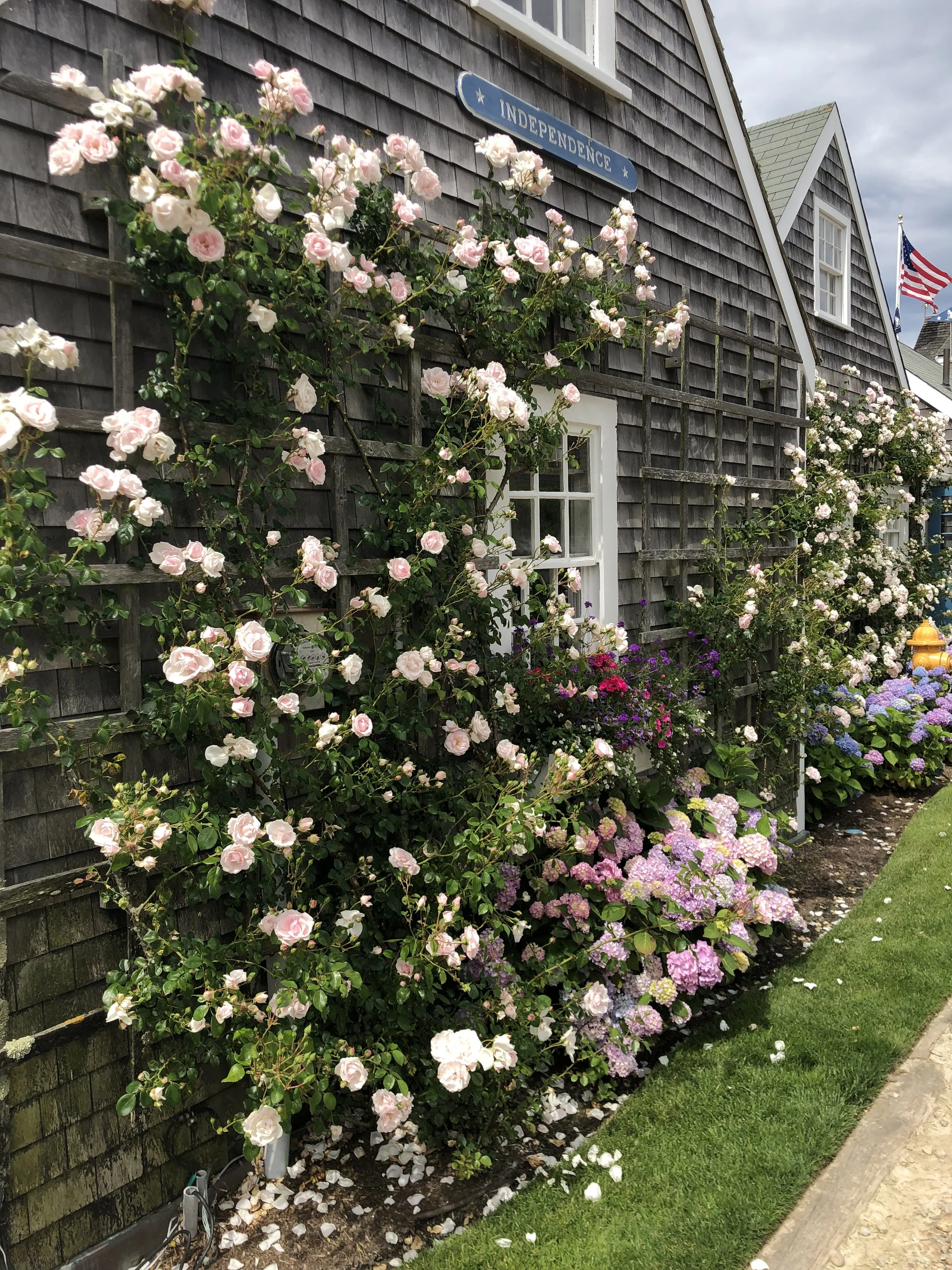 A Day in Nantucket — Andover Florist Floral Home Garden Shop Les