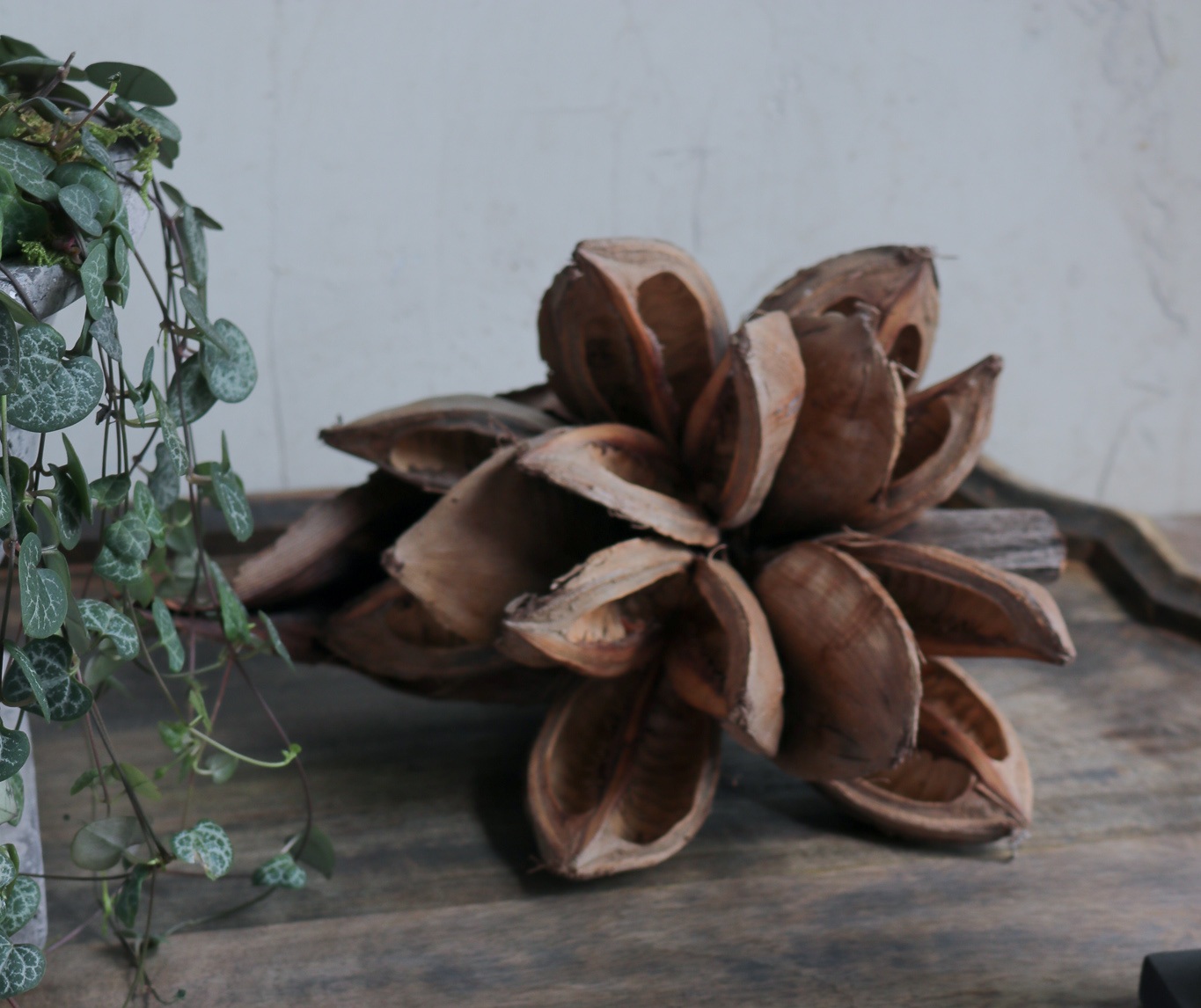 french-floral-paper-valet-tray+%281%29.jpg