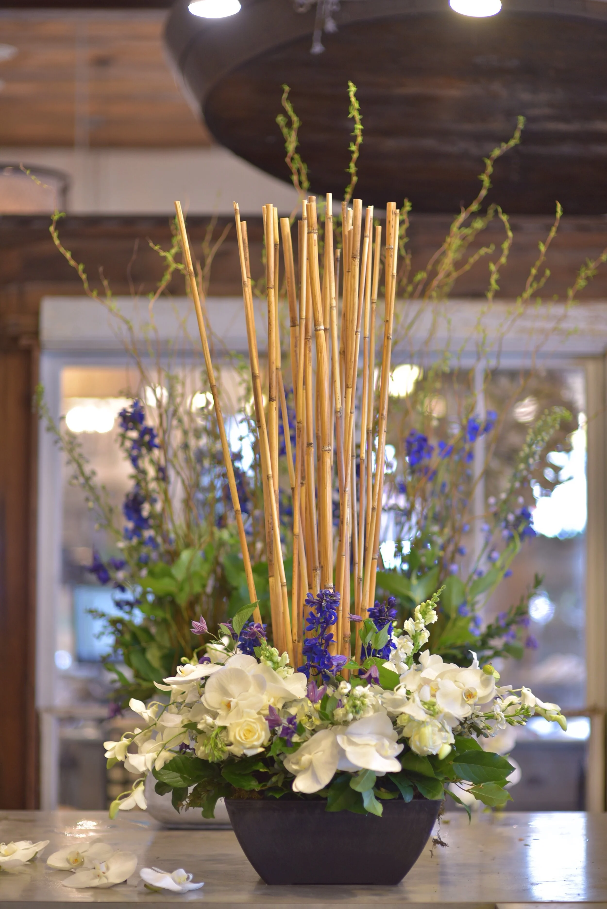 Funeral Floral Arrangements Send Sympathy Flowers & Plants Same Day