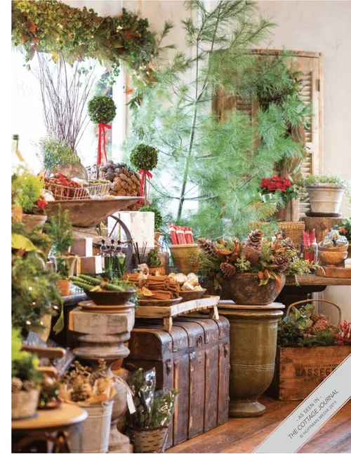The Cottage Journal Christmas 2019 Florist Andover Ma Floral