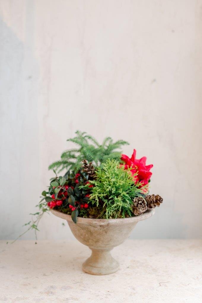 Andover Florist Holiday Flowers Plants Wreaths Fresh