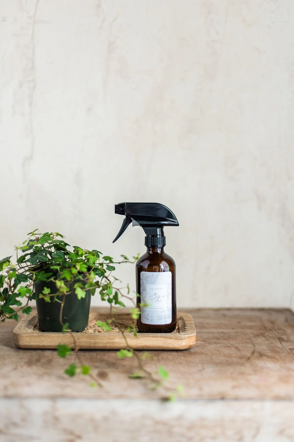 Spray Definition Plant at Katie Kendall blog