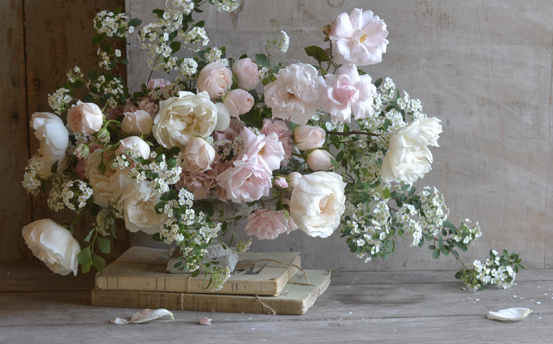 Graden Roses In Rose Color Garden Roses