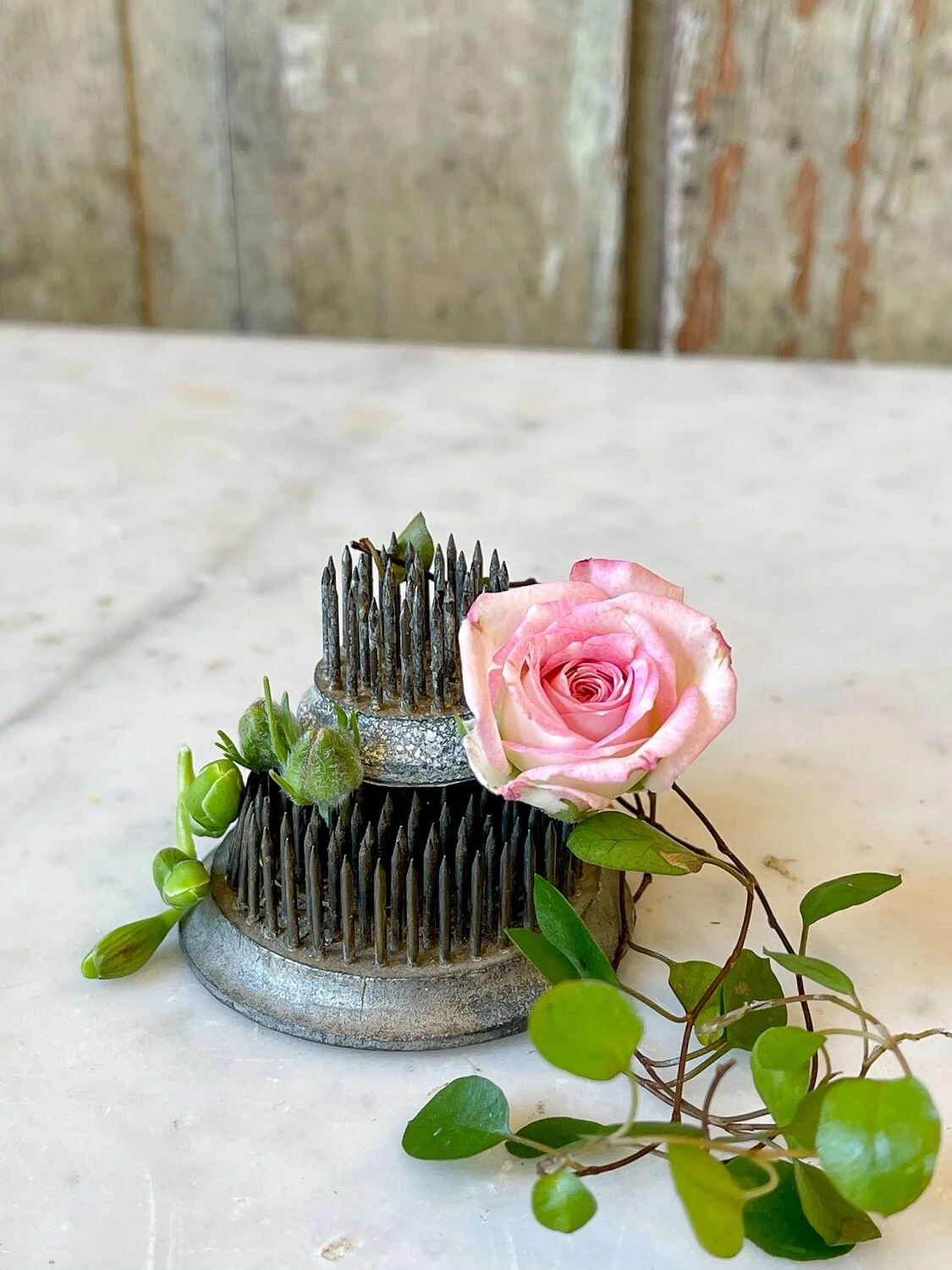 vintage-spikes-flower-frog-floral-arranging-frogs-les-fleurs-andover (1).jpg