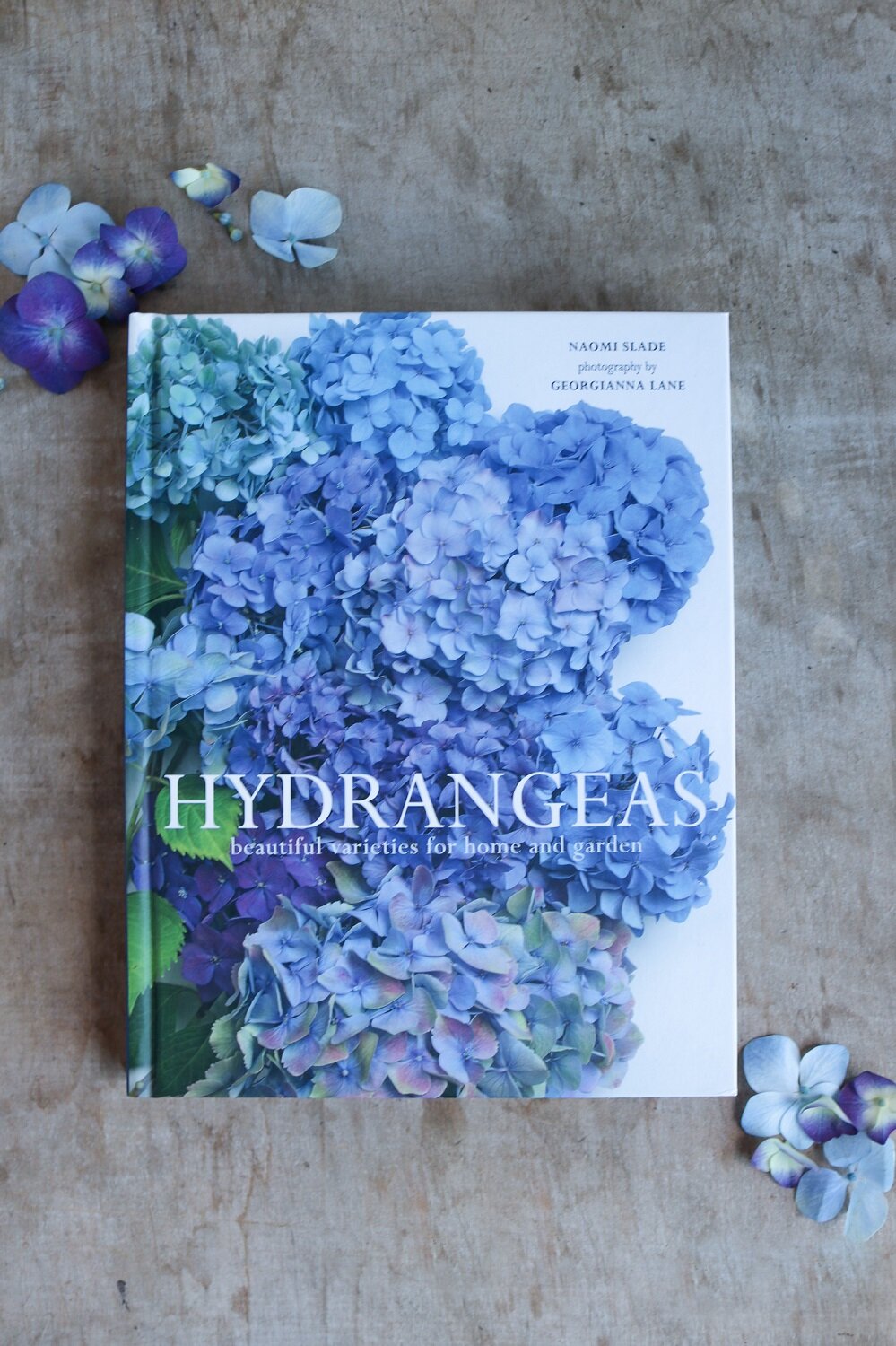 Hydrangeas: Beautiful Varieties for Home and Garden
